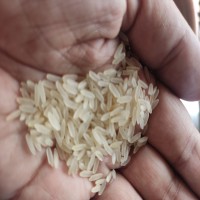 Kakoli Miniket Rice - 50 kg
