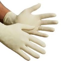 Latex premium examination gloves 100 pcs
