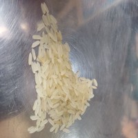 Kakoli Miniket Rice - 50 kg