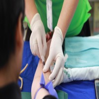 Latex Premium Examination Gloves - 50 pcs