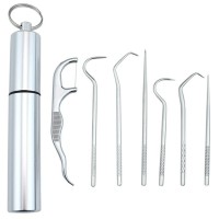 Portable Titanium Stainless Steel Portable Toothpicks Reusable Metal Toothpick