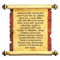 Shaheb Special Kajollota Rice 25 kg /Kajollota Rice / Shaheb Agro Food Kushtia