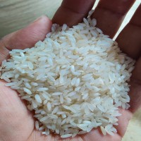 Utshob Jira Nazirshail Rice 50kg